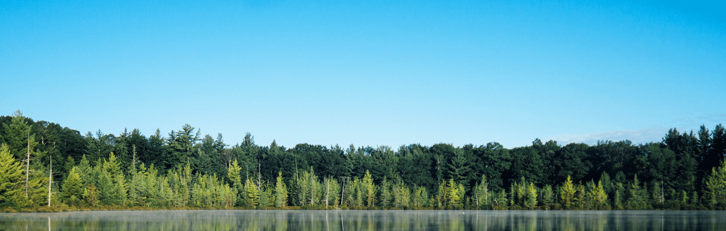calm lake with trees on on the bank and a clear blue sky