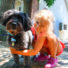 Young girl camper crouched down next to a small black dog