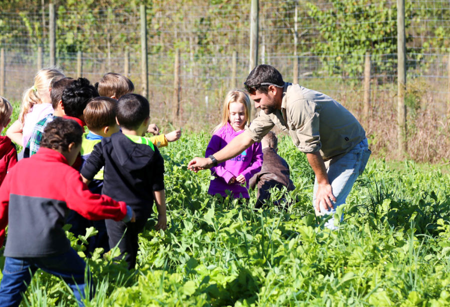 In a garden, campers gathered around teacher as he talks to them about harvesting