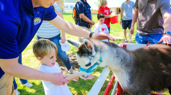 Camper feeding a llama