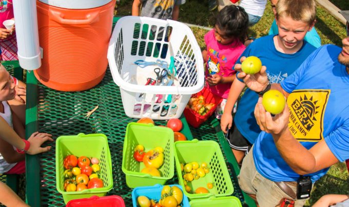 Counselor and campers gathered around a table full of tomatoes