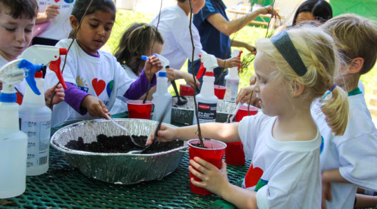 Campers putting soil in their cups with small trees