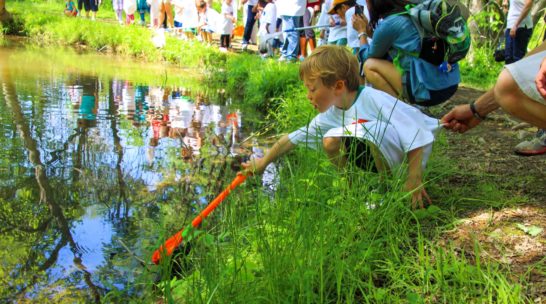 Camper looking into a pond with a stick